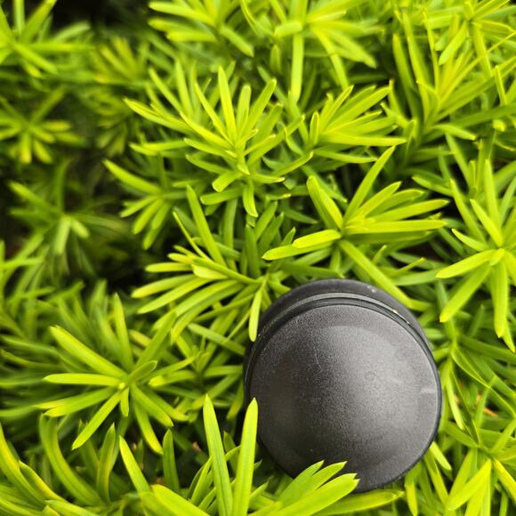 Columbus Crew Corcicle 16 Oz Canteen - Picture 9 of 9